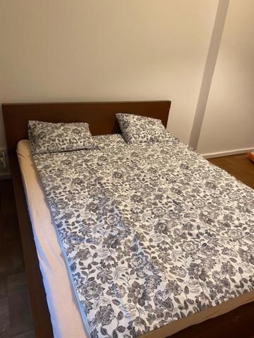 Large 3 Bedroom Family Close To The River Apartment Prag